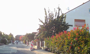 Kirchheim Scenes 09.jpg